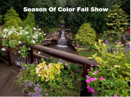 Seasons Of Color Fall Show